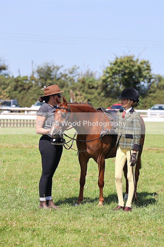 IMG_2048 - Class 34: Show Hunter Pony 153cm and under