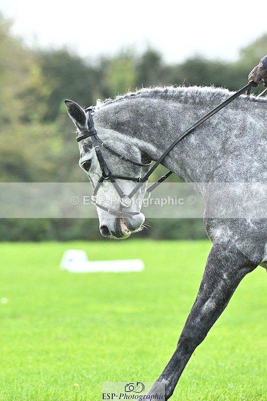 241024-115406-02539 - 320-Alice.Tollworthy-OUR.DOLPHIN.STAR