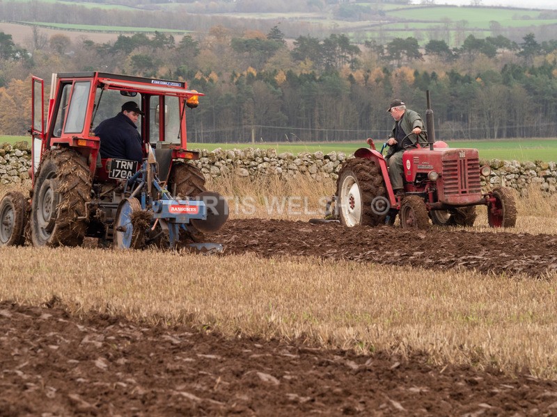 PB260129 - Lauderdale Ploughing Society - Ploughing match 26-11-22