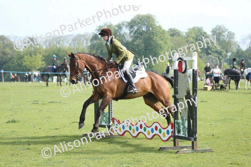 20260426-0091 - Class 13 - Rookie Jumping 50cm