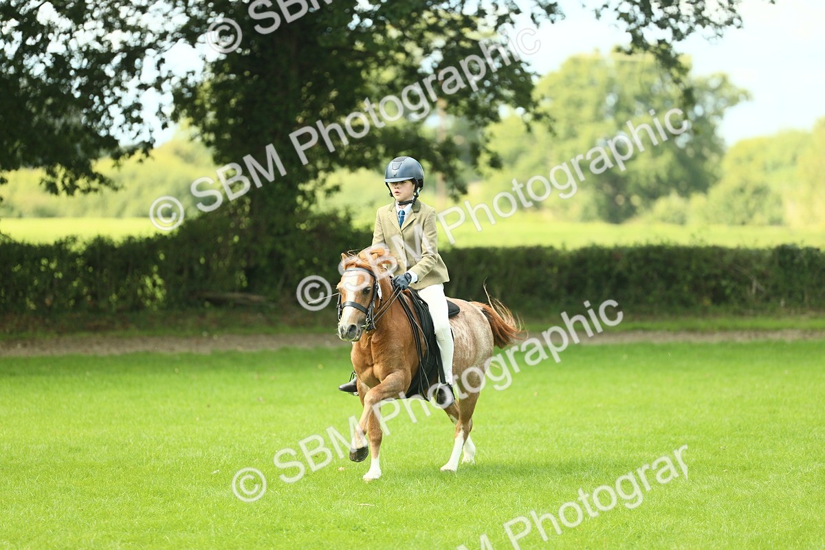 SBM_42736 - S30 - M&M Working hunter Pony