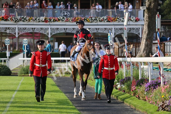 yr05092021r7-31 - Race 7 5.10pm Yorkshire Regiment Stakes