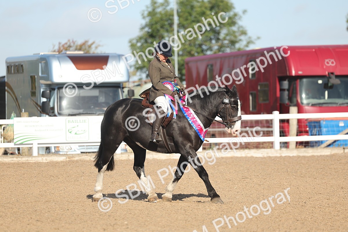 SBM_22257 - Class 802 - Ridden Groom Helpers Class