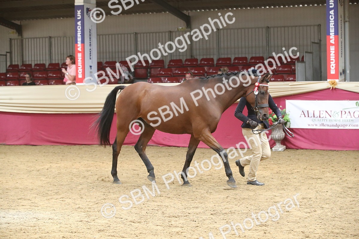 SBM_05540 - Class 9R - Regional IH Pre-Vet