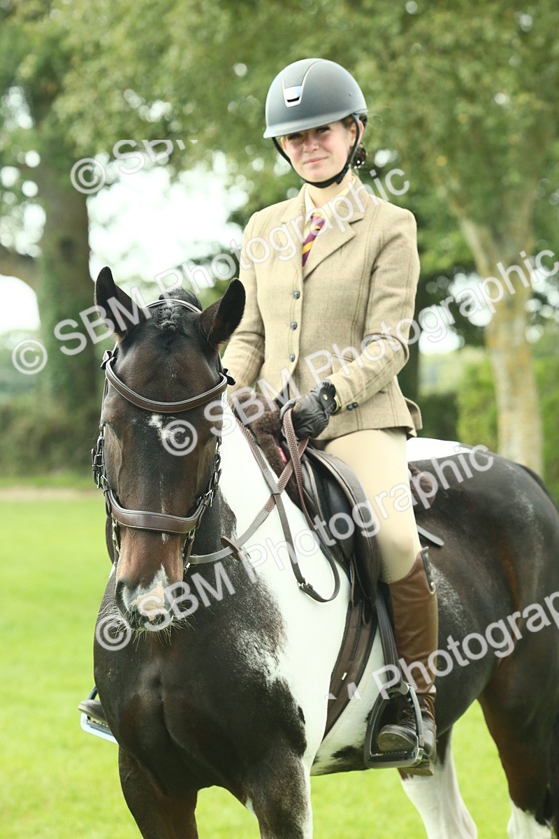SBM_66458 - S34 - Rehabilitated Rescue Horse & Pony In Hand & Ridden