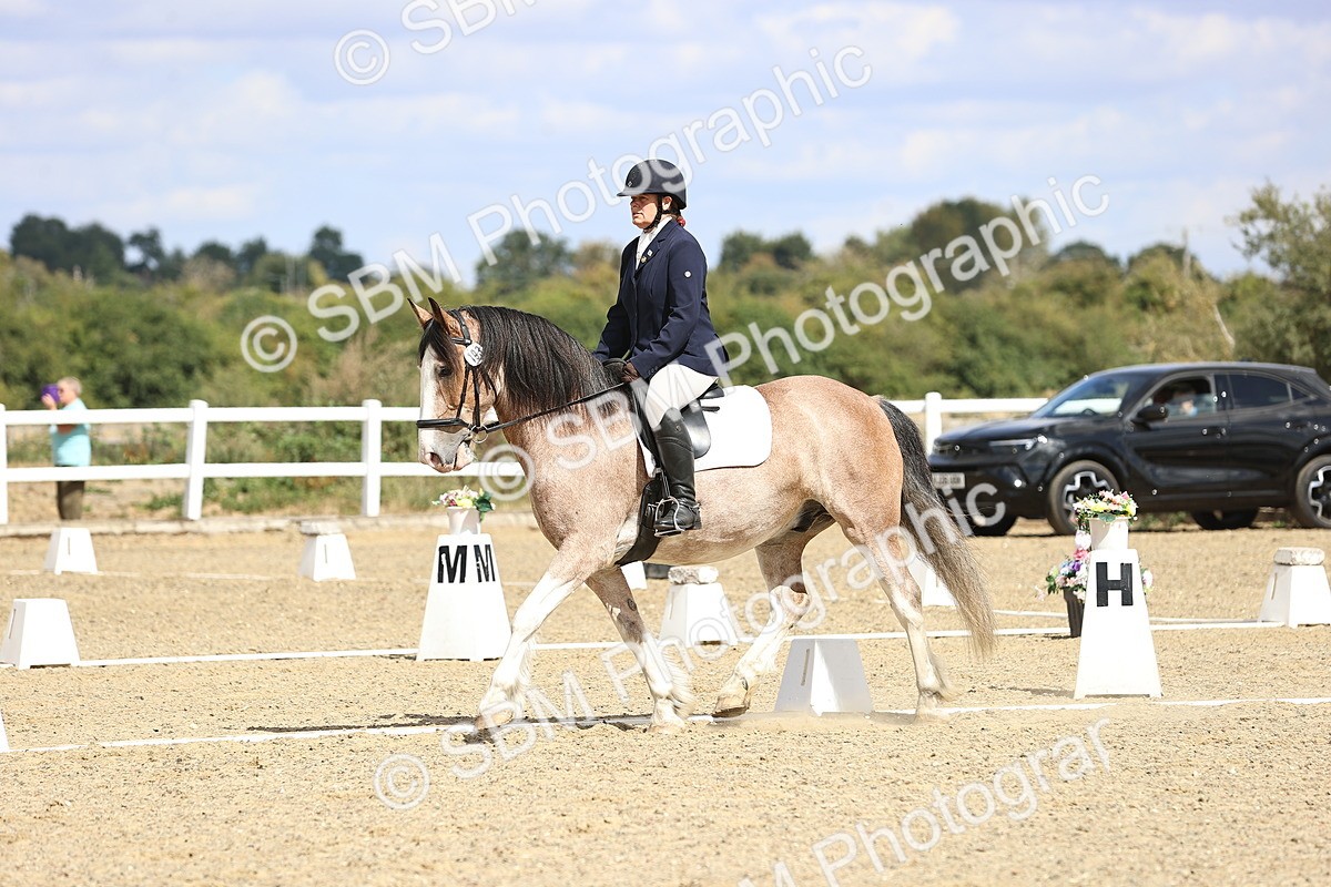 SBM_014556 - Class 5 - E5 Bronze 13.30.14.18