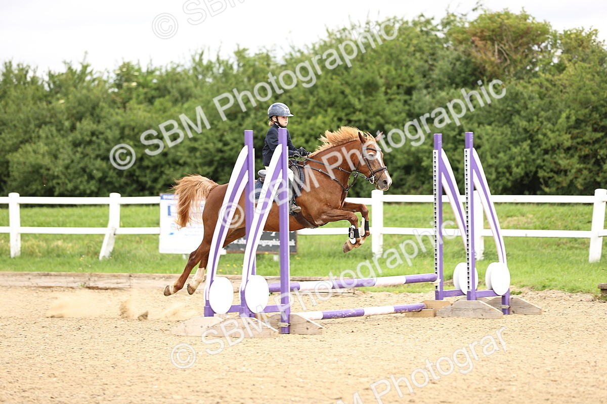 SBM_000096 - 50cm