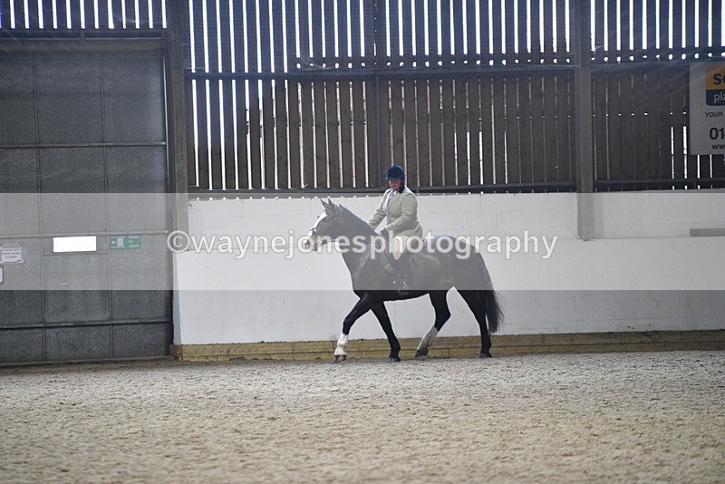 WJ5_8251 - Class 14 Novice Ridden/Rider