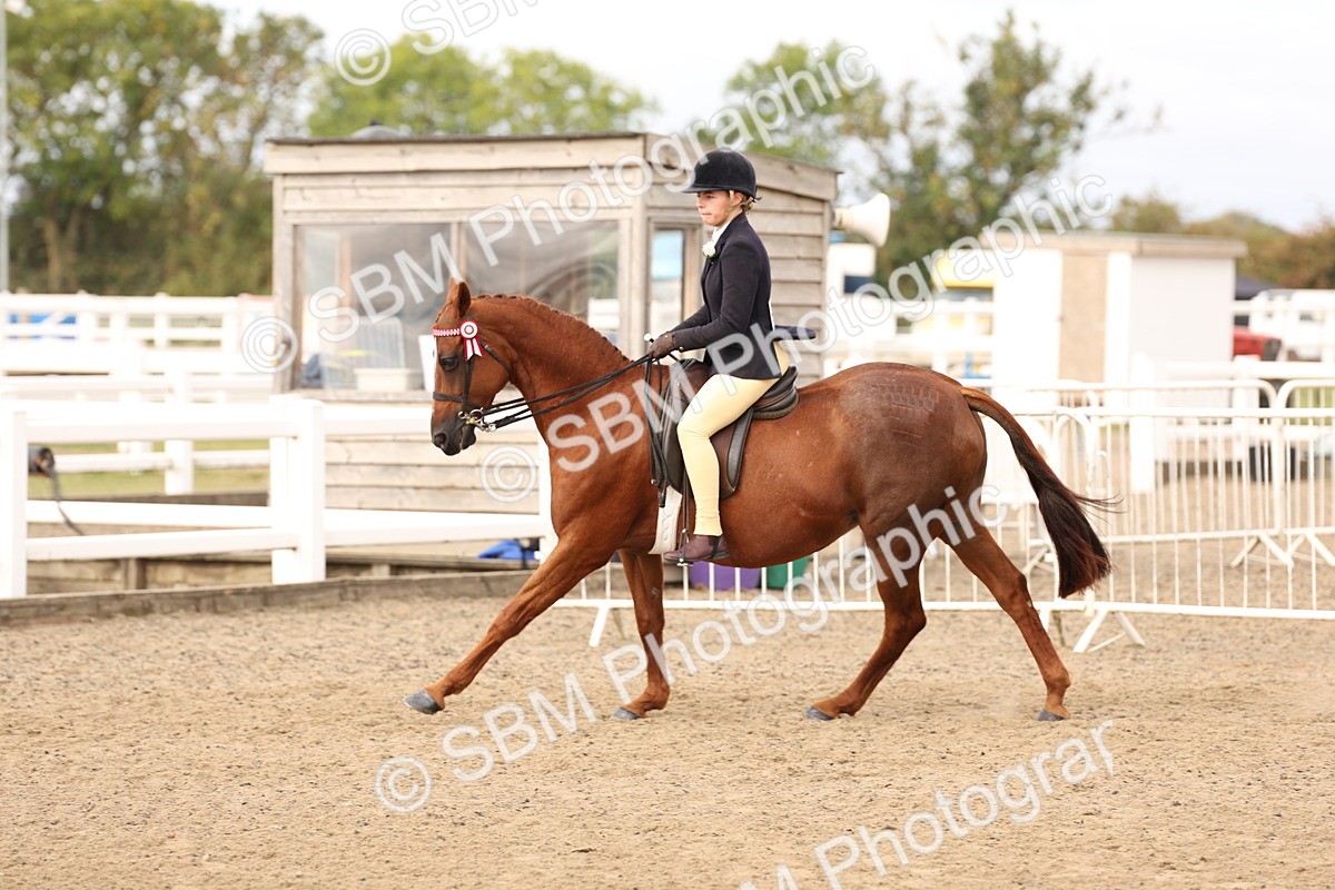 SBM_01567 - Class 52 - Ridden Veteran