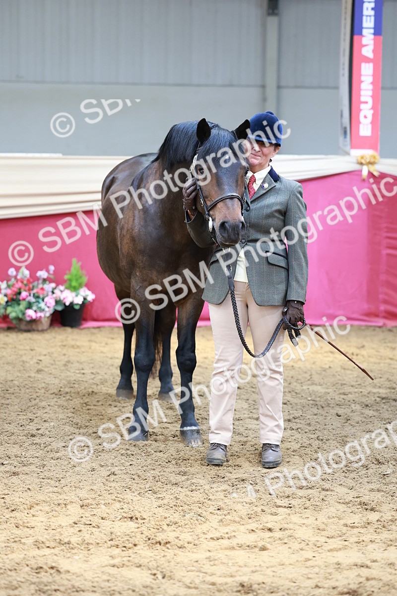 SBM_17531 - Class 951 - M&M IH Supreme Final