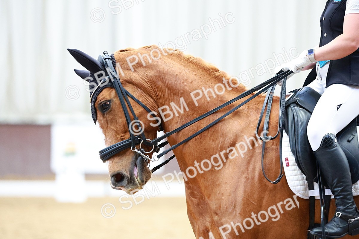 SBM_003651