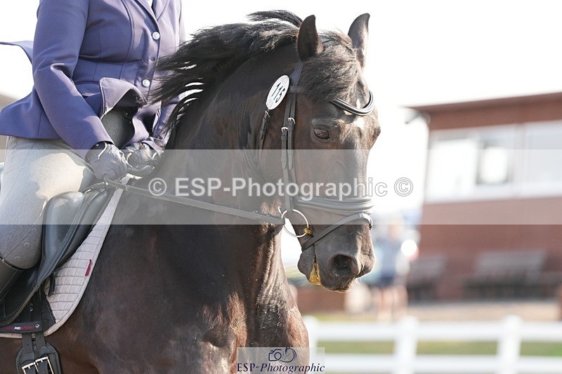 250817-090051-07064 - 115-Alison.AndrewsBercoed.Sambo