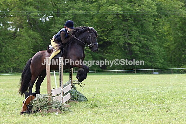 IMG_3290 - Working Hunter