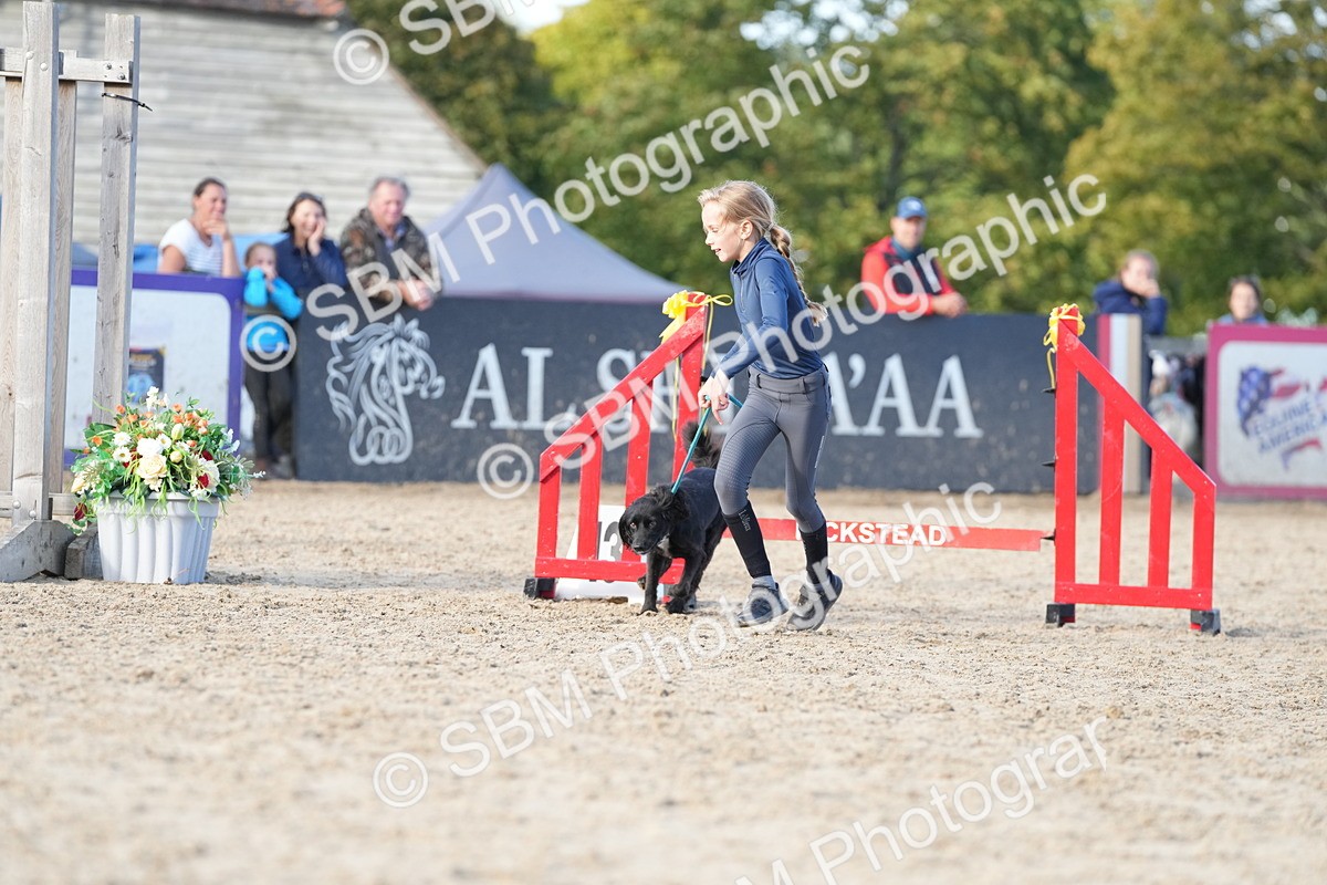 SBM_29130 - J43 - Horse & Hound Open 50cm