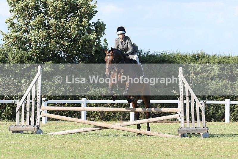 JPP_3104 - Class 21: Working Hunter 80cm