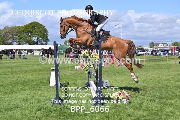 BPP_6066 - CLASS 3 ANDREW HAMILTON RHS FOX CHAMP QUAL