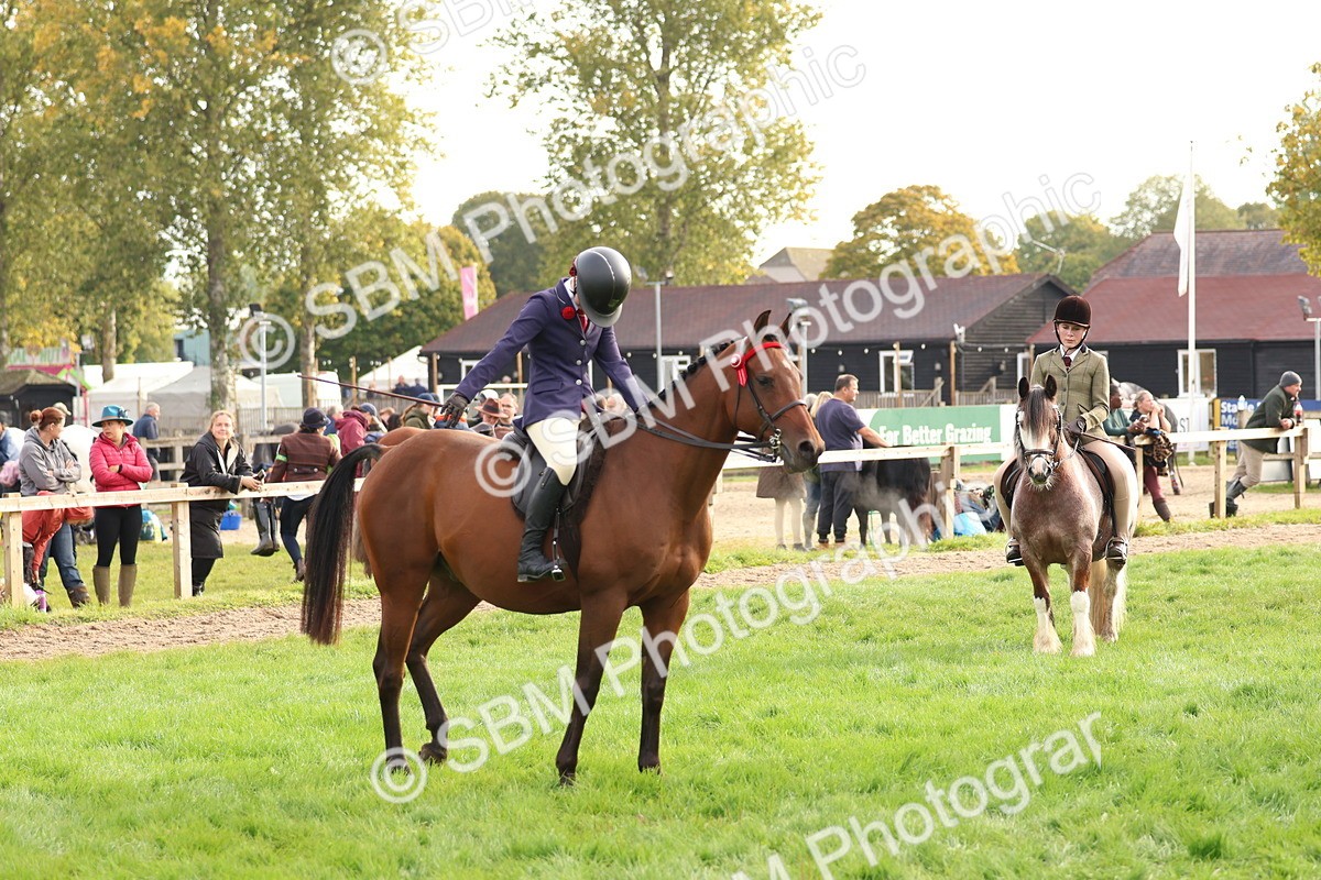 SBM_56638 - S40 - Starters Ridden Showing