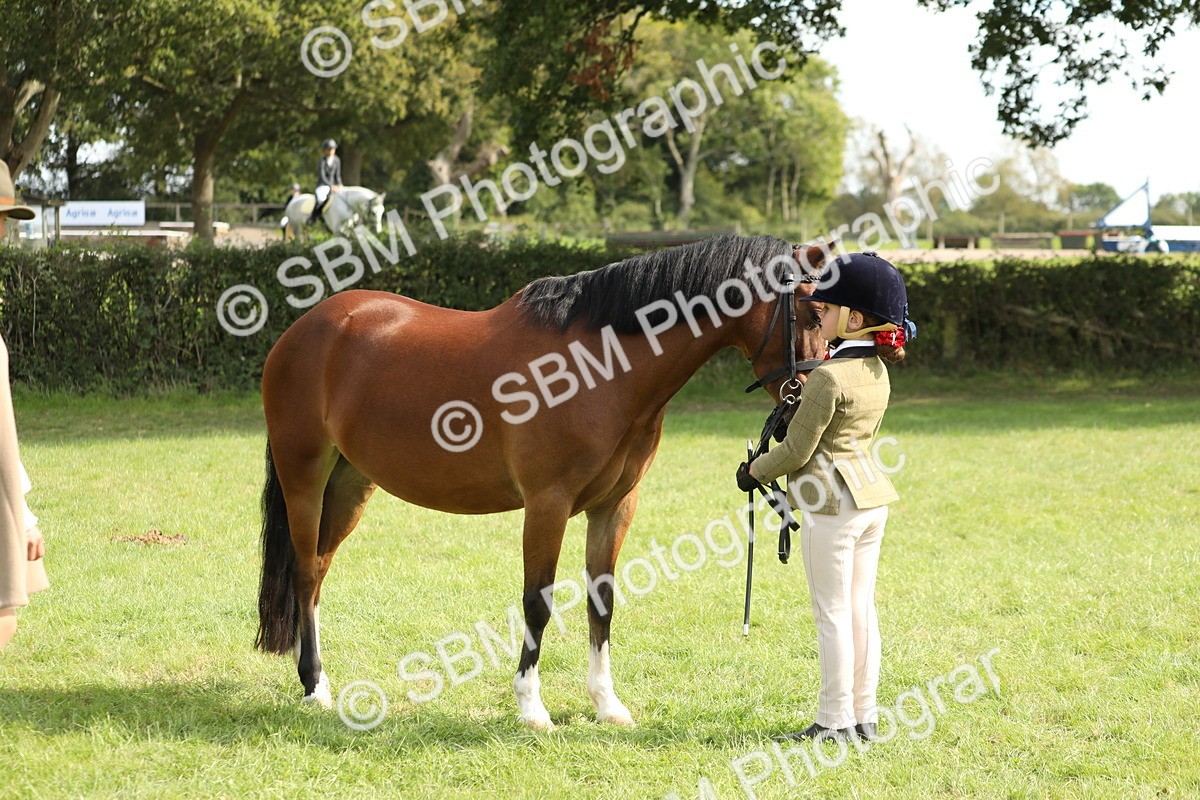 SBM_67756 - S39 - Junior Handler 8  Years & Under