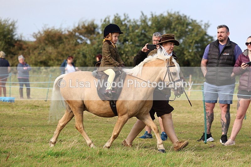 3E7A3458 - Class 2: Lead rein