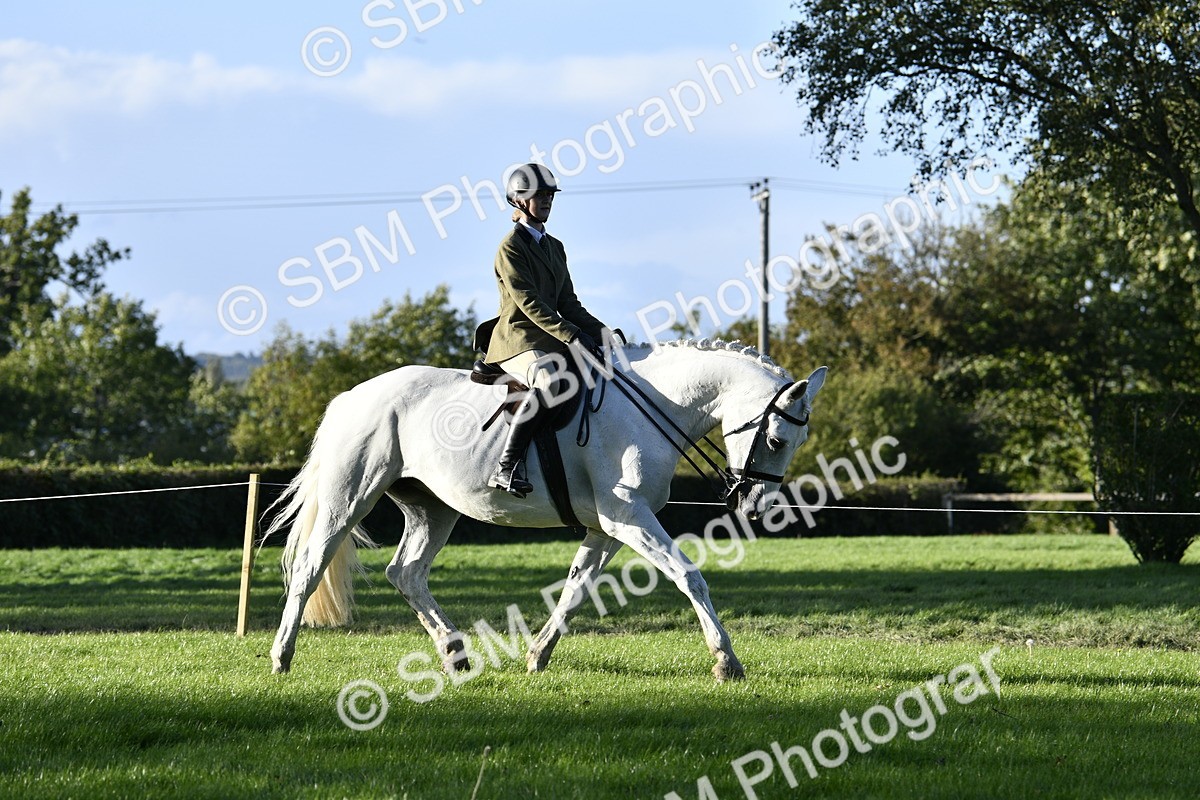 SBM_53501 - S14 - Riding Club Horse