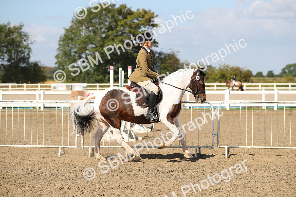 SBM_03128 - Class 44 Riding Club Horse/ Pony