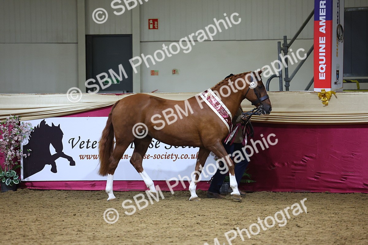 SBM_19819 - Class 901 - Supreme Final - IH Diamond