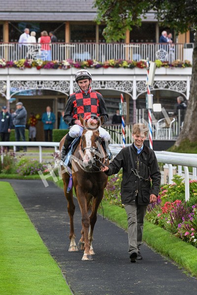 130724-Race 1-Blue For You-6980 - Race 1 2.00pm John Smith's Racing Handicap