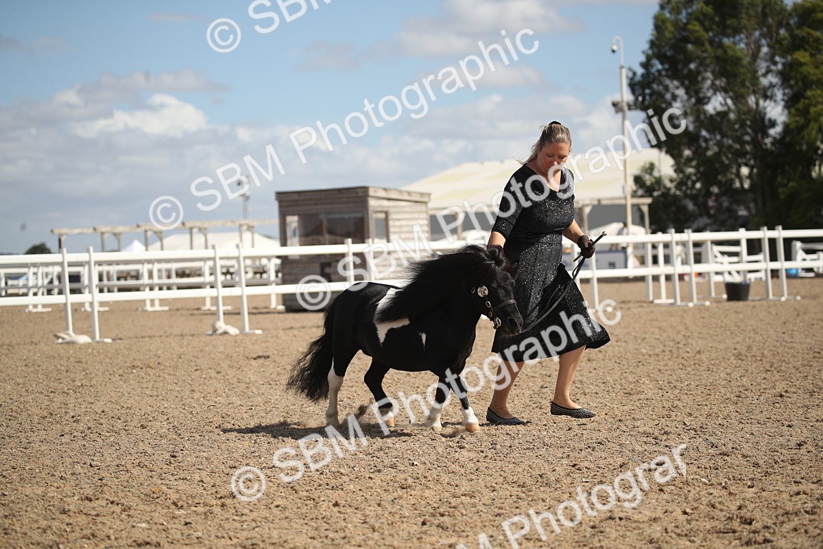 SBM_23138 - Class 606 - 2026 - Area - IH Pre Vet