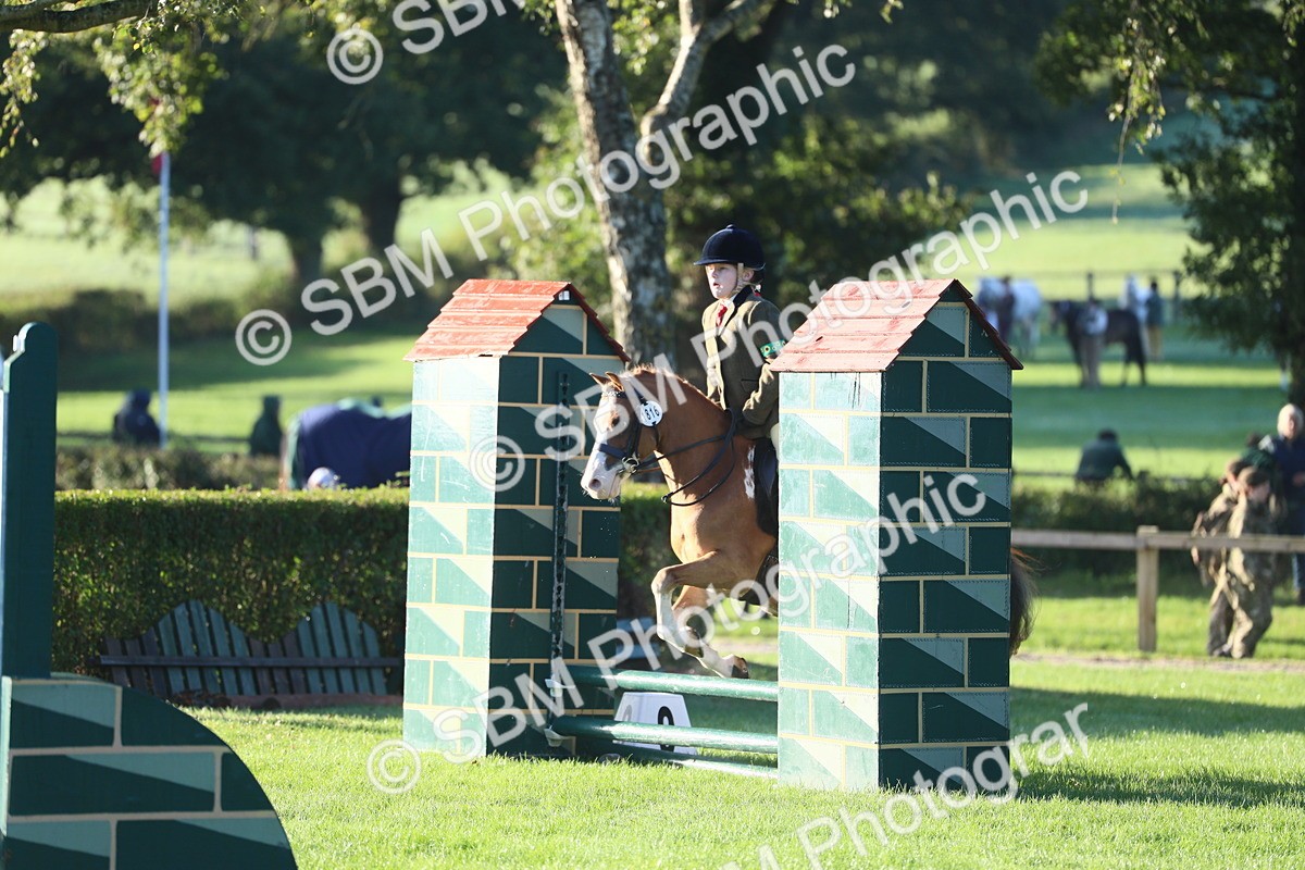 SBM_37234 - S29 - Novice & Newcomers Working Hunter Pony