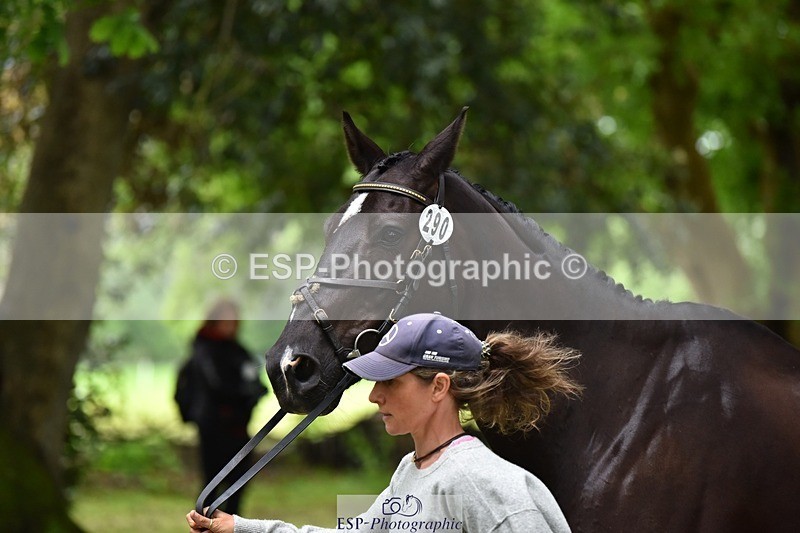 240522-172840-01637 - 290-MISTER_KAI-Hani_Milstein