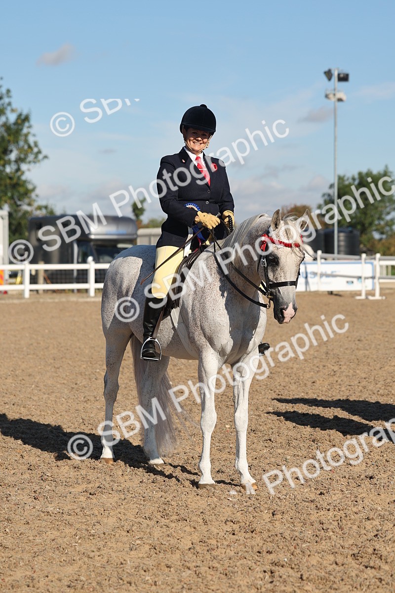 SBM_12250 - Class 303 - Ridden Pure Bred Horse Pony