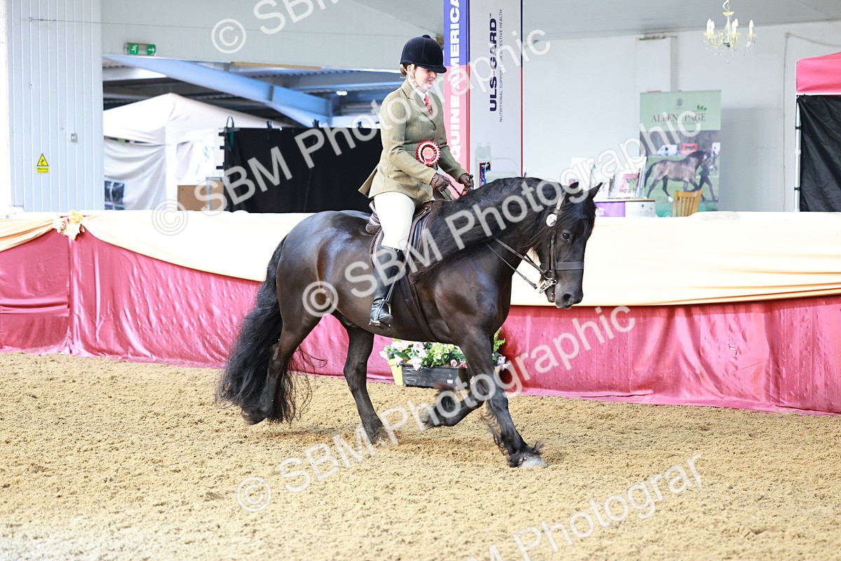 SBM_12008 - Class 102 - Equitation (Best Rider) Adult