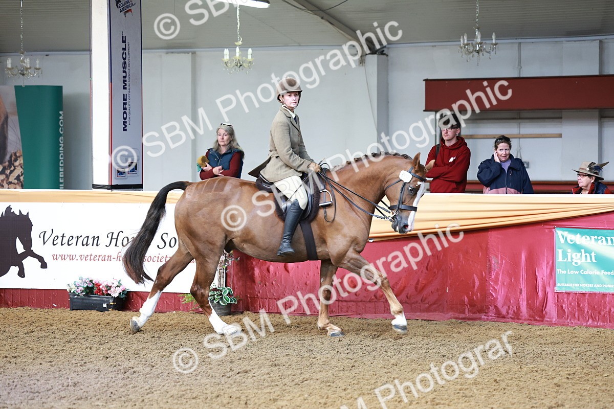 SBM_11967 - Class 102 - Equitation (Best Rider) Adult