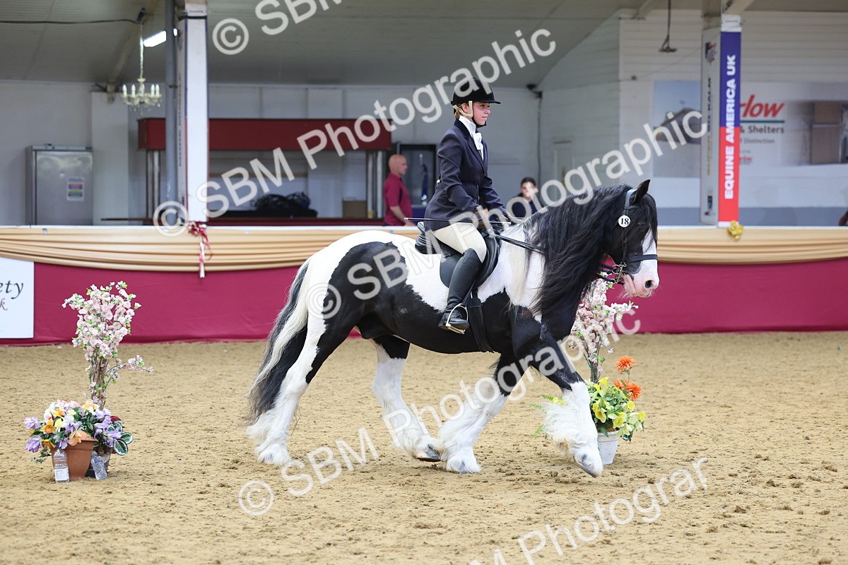 SBM_24427 - Class 906 - Supreme Final - Ridden Pre Vet
