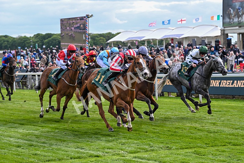 150526-Race 6-Fortification-8414 - Race 6 4.40pm Irish Thoroughbred Marketing Handicap