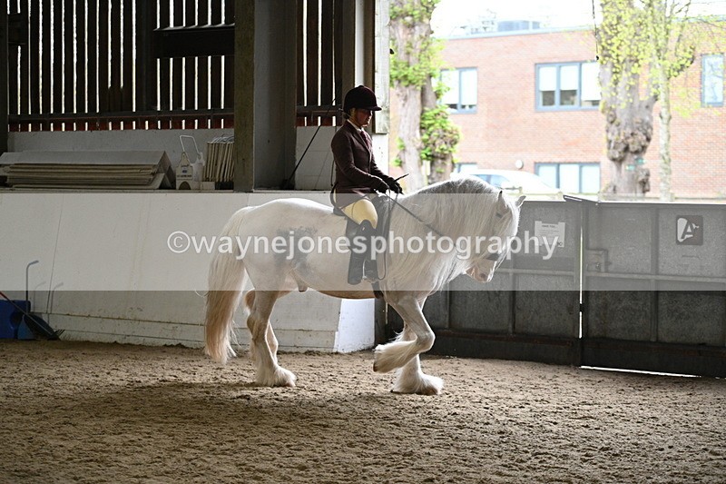 WJ7_3764 - Class 17 Ridden Cob