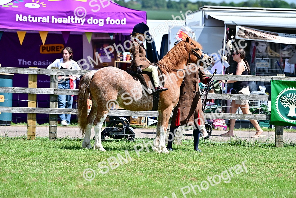 SBM_05852 - Class 59-60 - TSR M&M  Lear Rein and First Ridden Amateur of the year