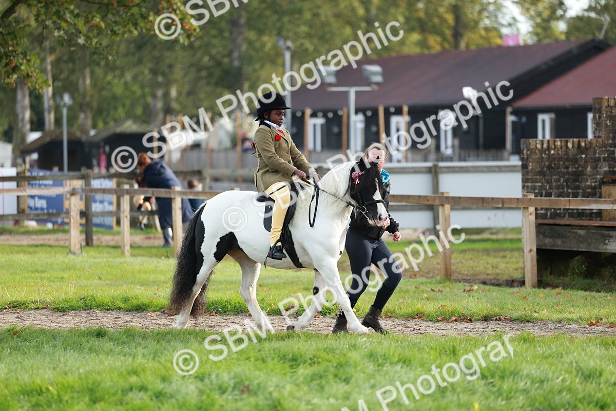 SBM_56313 - S39 - Starters In Hand Showing