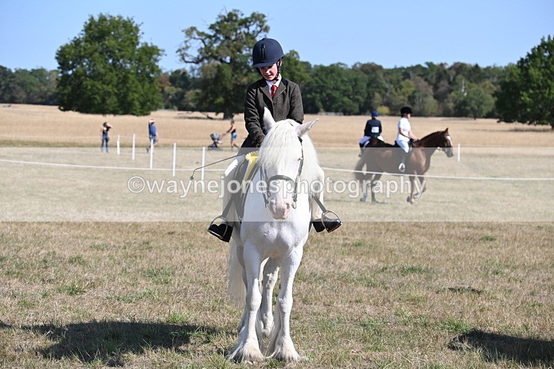 WJ6_7680 - Class 34 Judges Choice