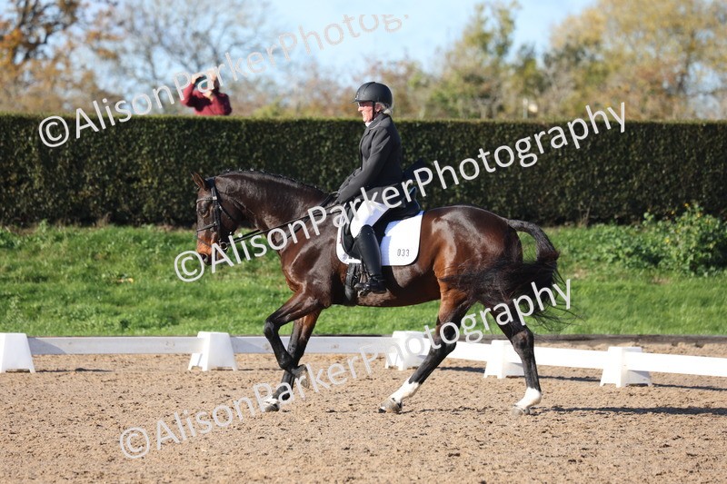 20251102-0508 - Class 3 - Novice 5