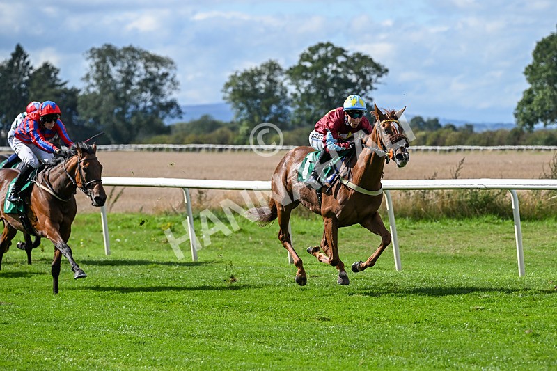 140926-Race 1-Satyress-6614 - Race 1 2.21pm Constant Security Services Apprentice Handicap