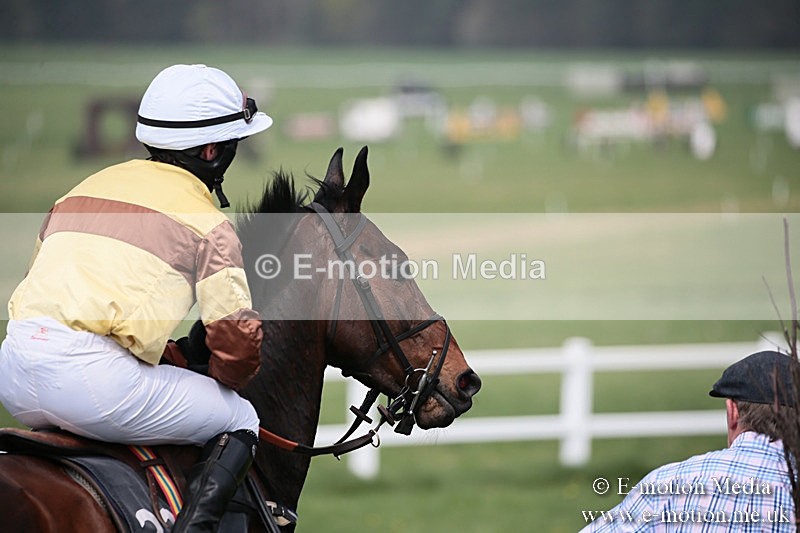 PtP 210418 182 - South & West Wilts Point-to-Point Larkhill 21/04/18