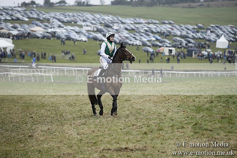 PtP 020418 -163 - Old Berks Point-to-Point Races Easter Monday 02/04/18