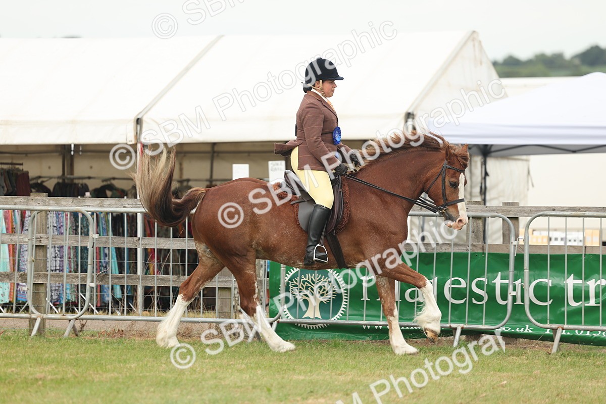 SBM_09117 - Class 78-80 - Ridden M&M Non Welsh Ponies
