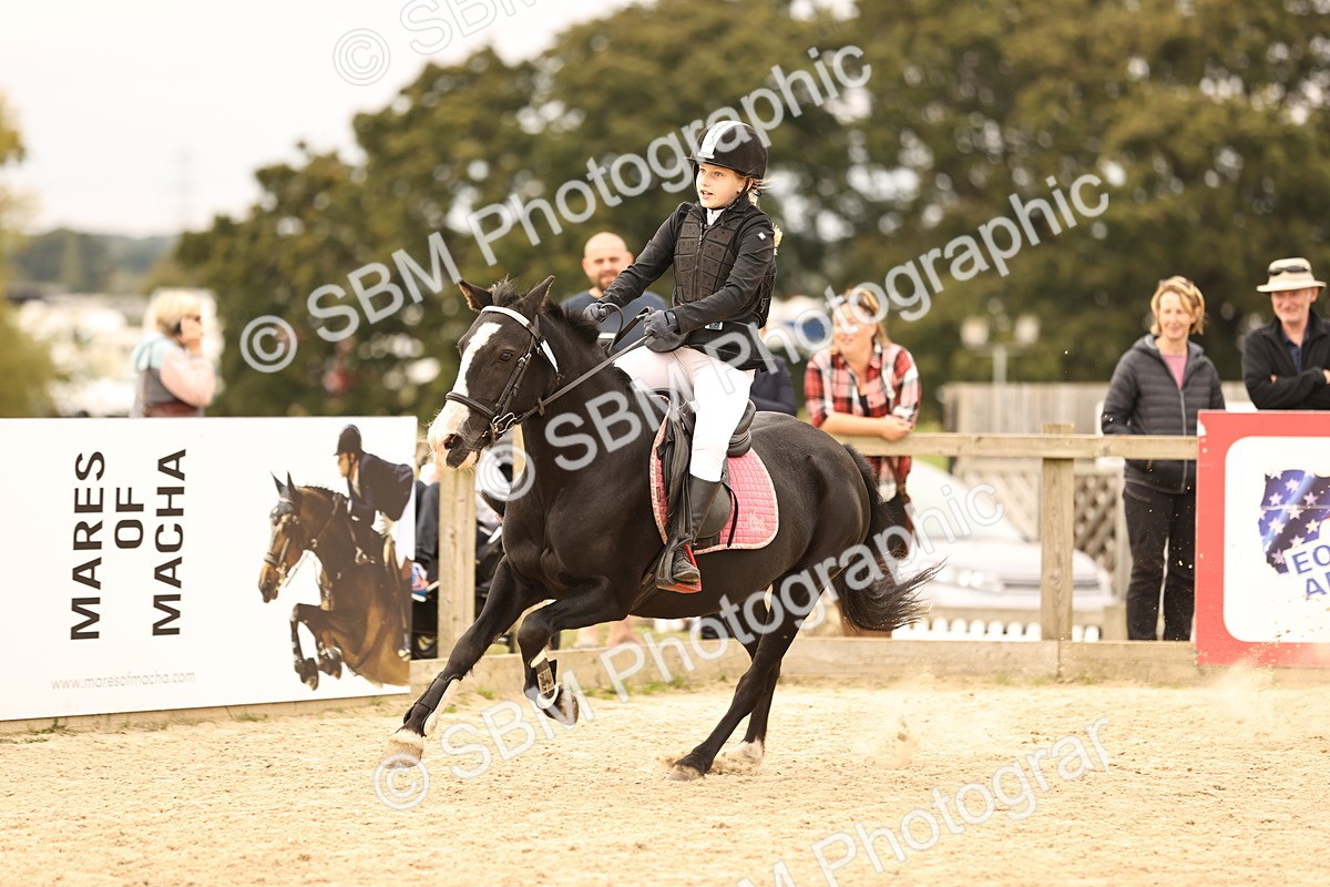 SBM_72508 - J14 - Junior Pony 65cm Championship