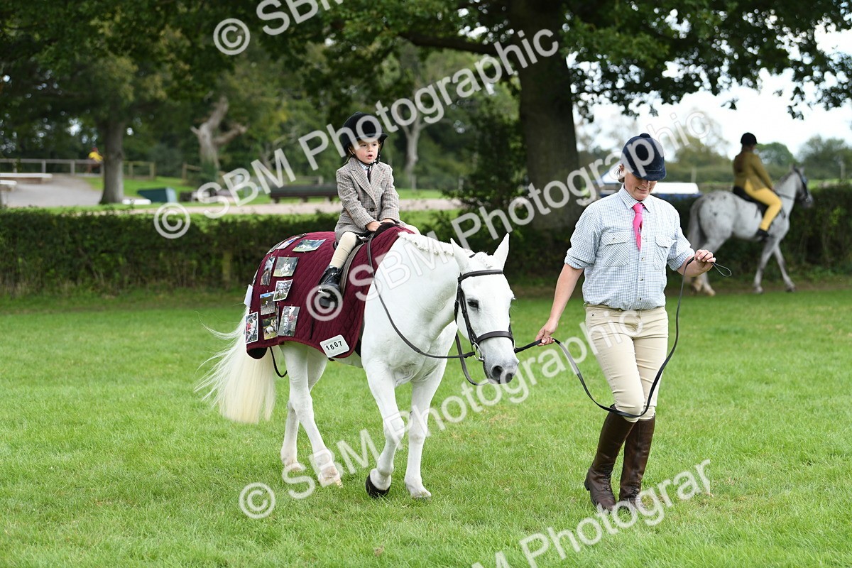 SBM_46761 - S12 - Family Horse & Pony