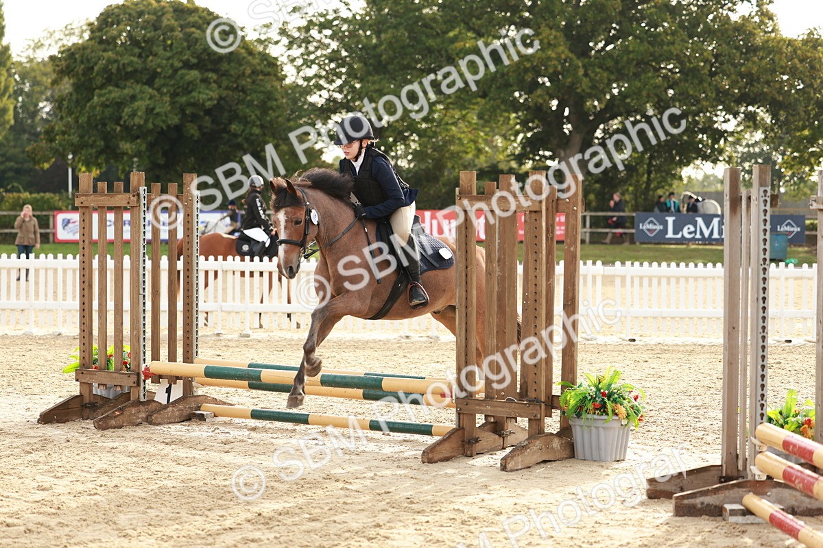 SBM_55640 - J11 - Junior Pony 50cm Championship