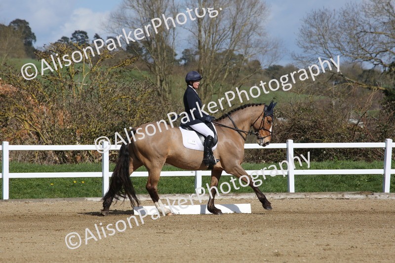 20260314-3958 - CT4 - Novice 1