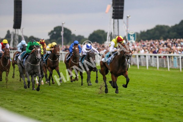 280723-Race 7-Knebworth-3009 - Race 7 8.20pm Sky Bet Go-Racing-In-Yorkshire Summer Festival Handicap