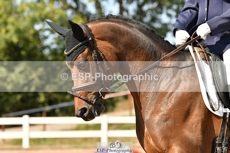 250817-155633-11410 - 211-Carey.CollettRubin's.Fanfare